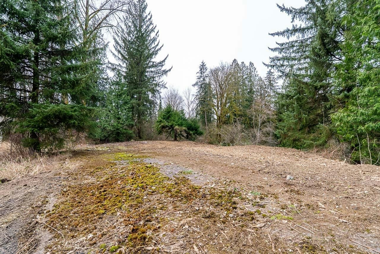 12041 256th Street, Maple Ridge, BC, V4R 1B5 - 26