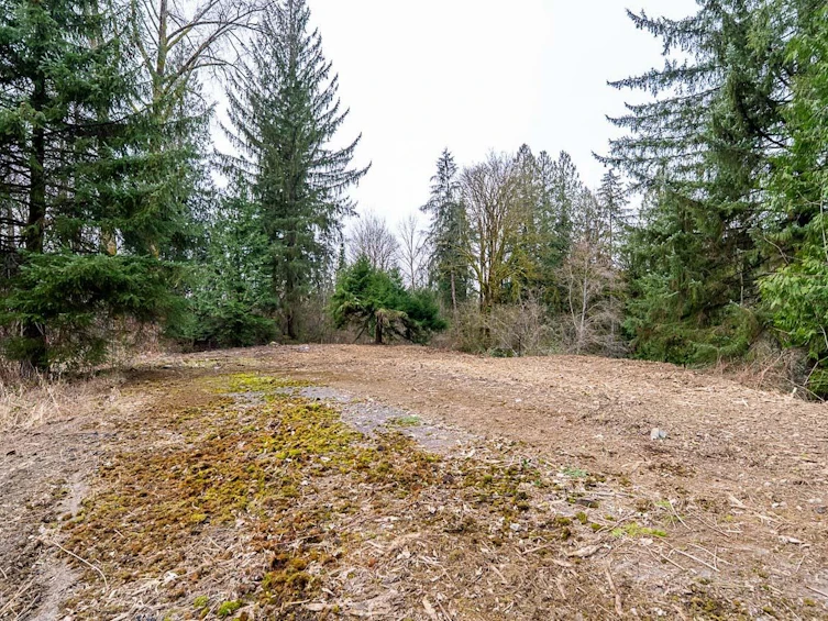 12041 256th Street, Maple Ridge, BC, V4R 1B5 - 26
