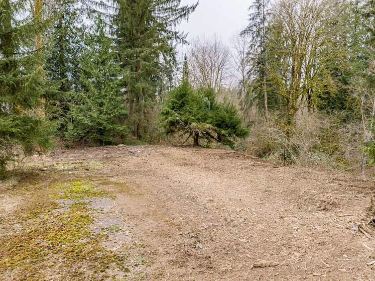 12041 256th Street, Maple Ridge, BC, V4R 1B5 - 20