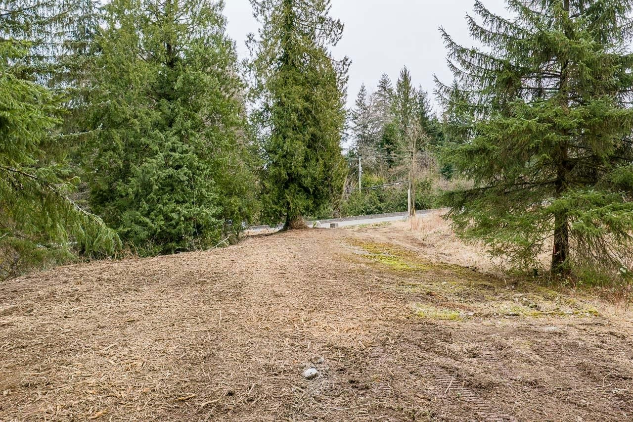 12041 256th Street, Maple Ridge, BC, V4R 1B5 - 16