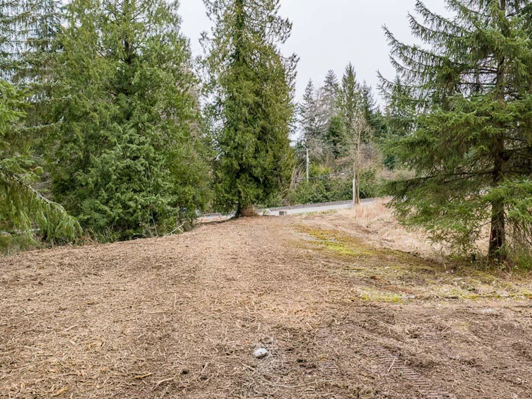 12041 256th Street, Maple Ridge, BC, V4R 1B5 - 16