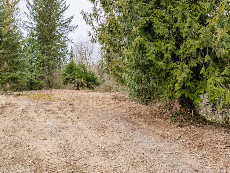 12041 256th Street, Maple Ridge, BC, V4R 1B5 - 18