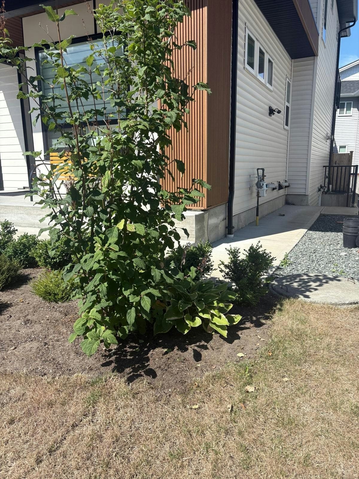 Basement-10539 Mcveety St Street, Maple Ridge, BC, V2W 0K3 - 7