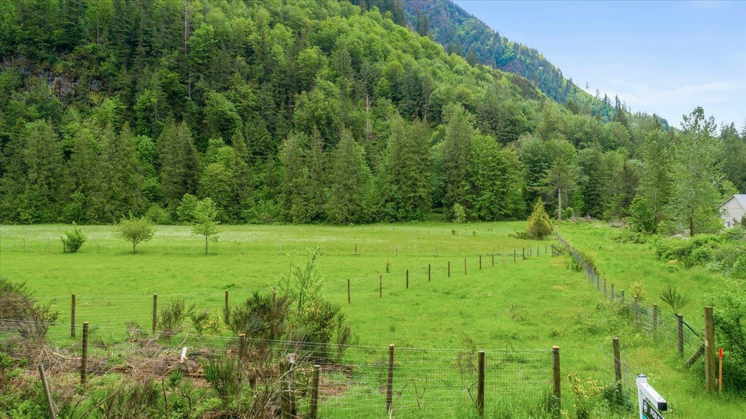 238 Maple Falls Road, Columbia Valley, BC, V2R 4X6 - 9