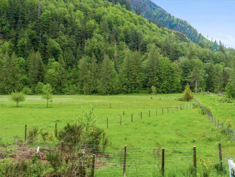 238 Maple Falls Road, Columbia Valley, BC, V2R 4X6 - 9