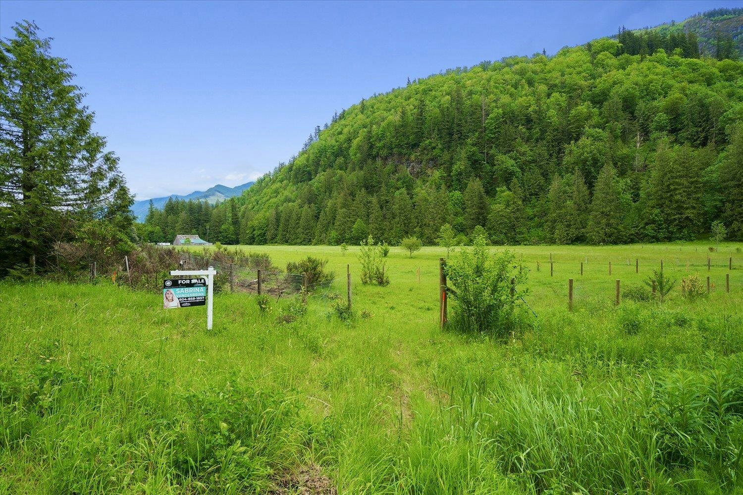 238 Maple Falls Road, Columbia Valley, BC, V2R 4X6 - 16