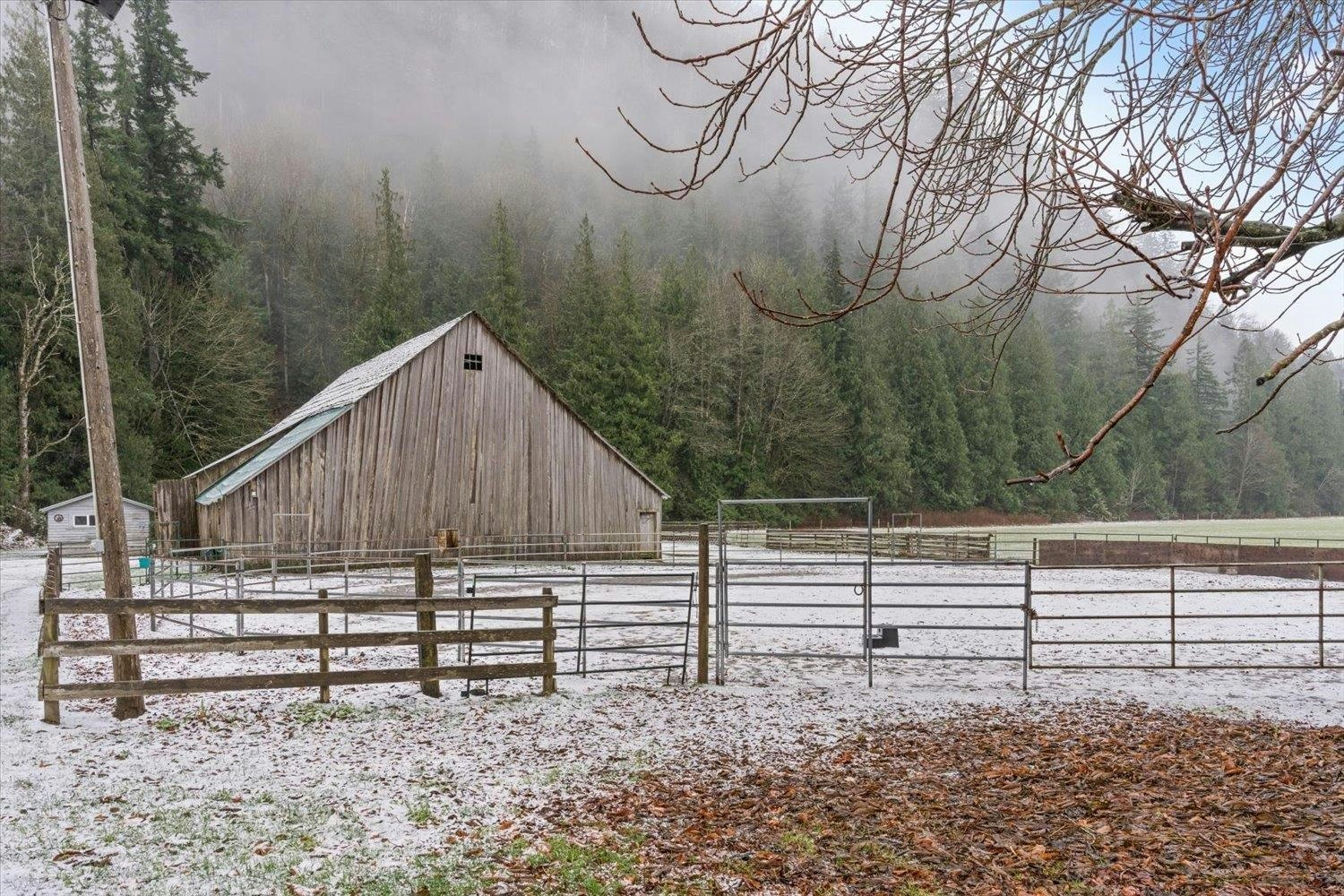 238 Maple Falls Road, Columbia Valley, BC, V2R 4X6 - 2