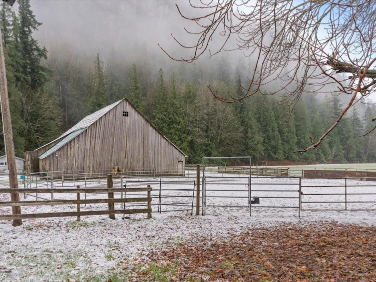 238 Maple Falls Road, Columbia Valley, BC, V2R 4X6 - 2