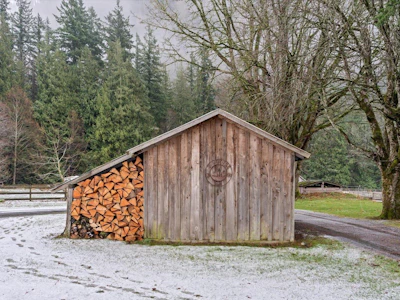 238 Maple Falls Road - 5