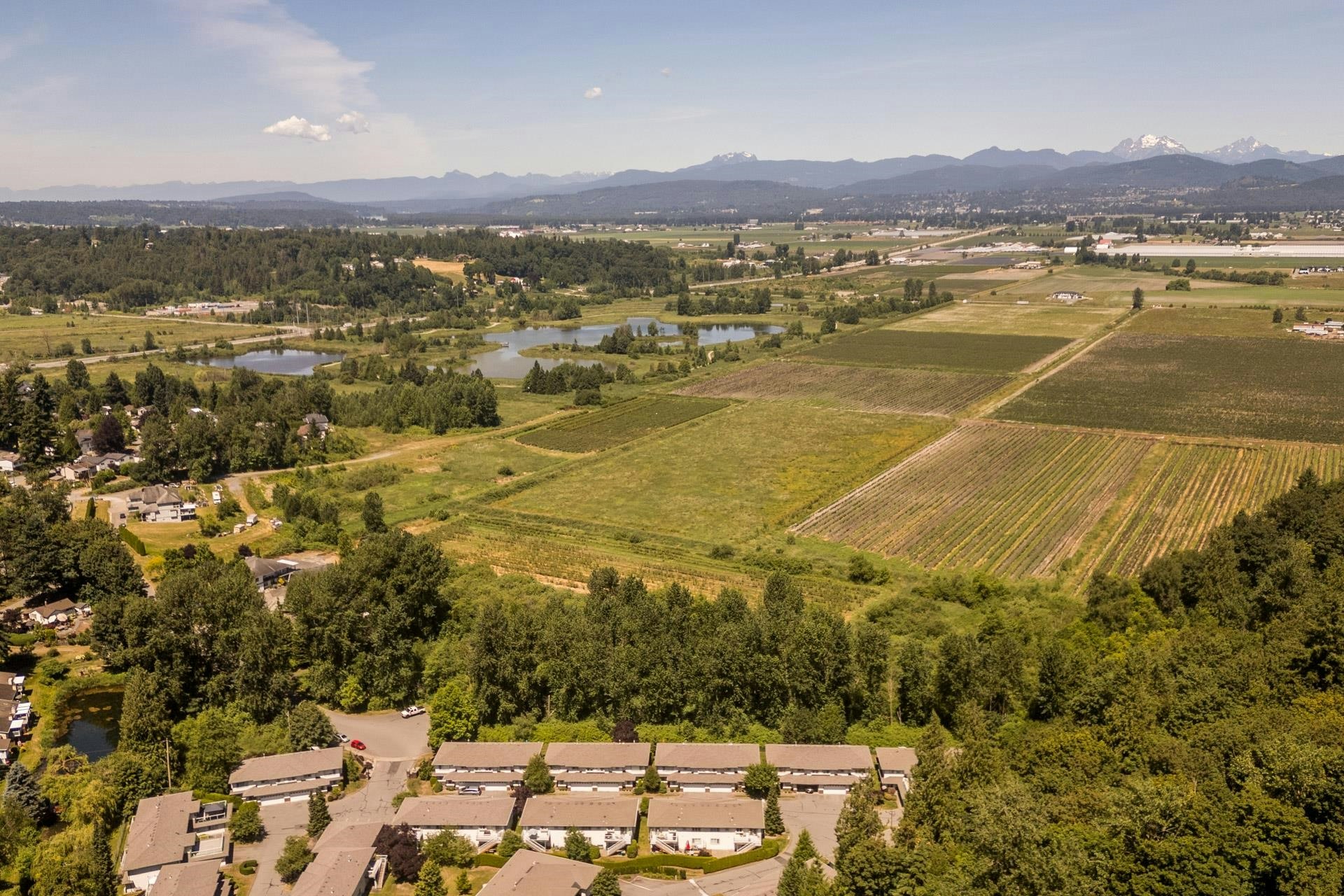 34348 Laburnum Avenue, Abbotsford, BC, V2S 4T9 - 40