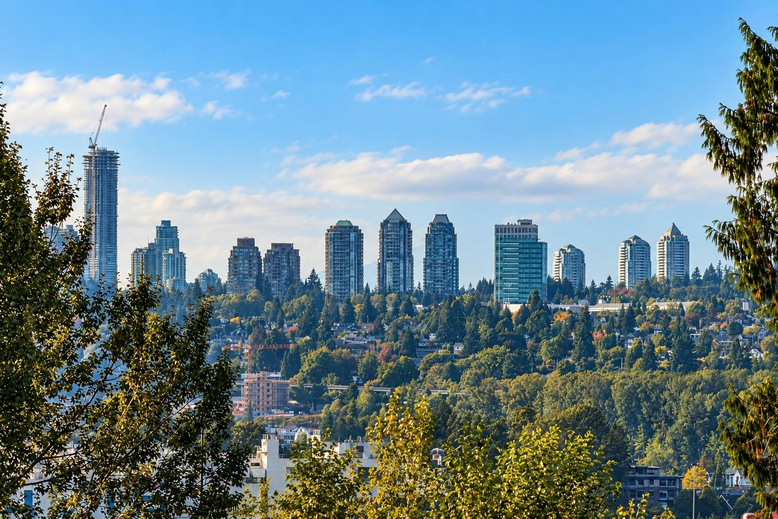 9720 Townline Diversion, Surrey, BC, V3V 2T2