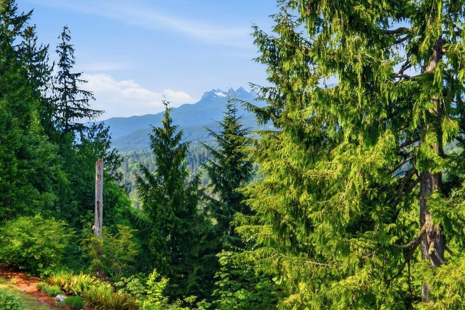 10240 Rolley Crescent, Maple Ridge, BC, V2W 1J9 - 5