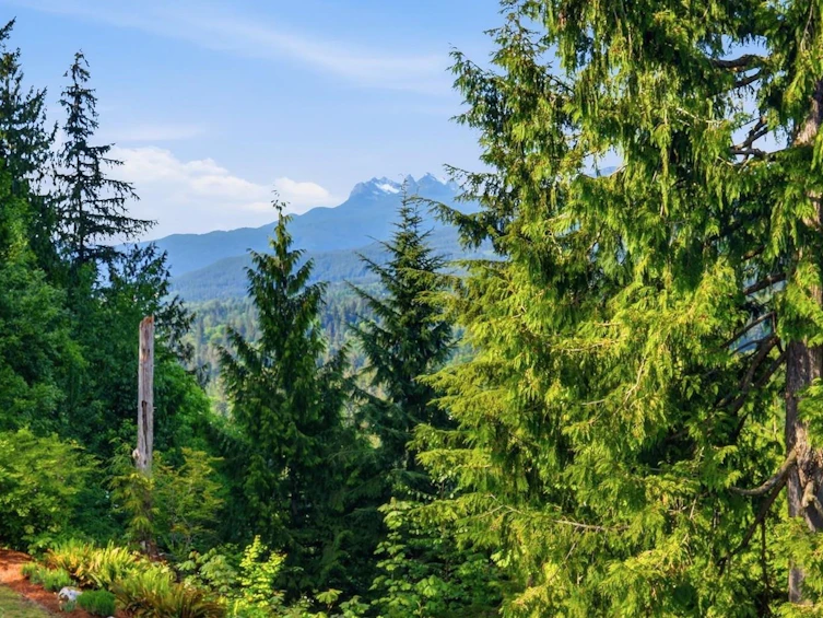 10240 Rolley Crescent, Maple Ridge, BC, V2W 1J9 - 5