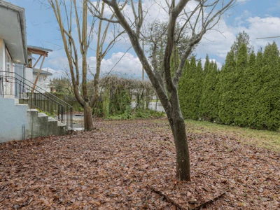 4856 Smith Avenue - 2