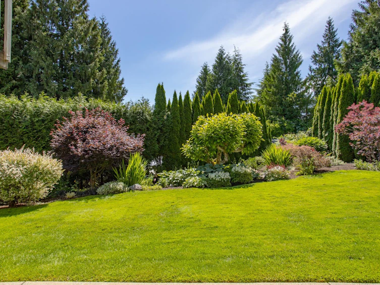 2802 Pilot Drive, Coquitlam, BC, V3C 3T4 - 5