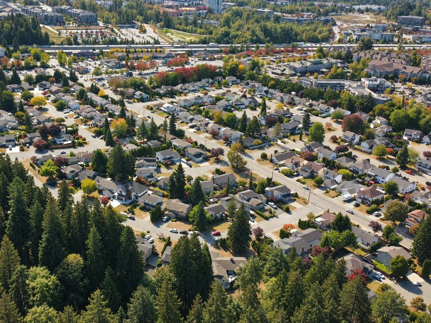 8998 203b Street, Langley, BC, V1M 1Y6 - 39