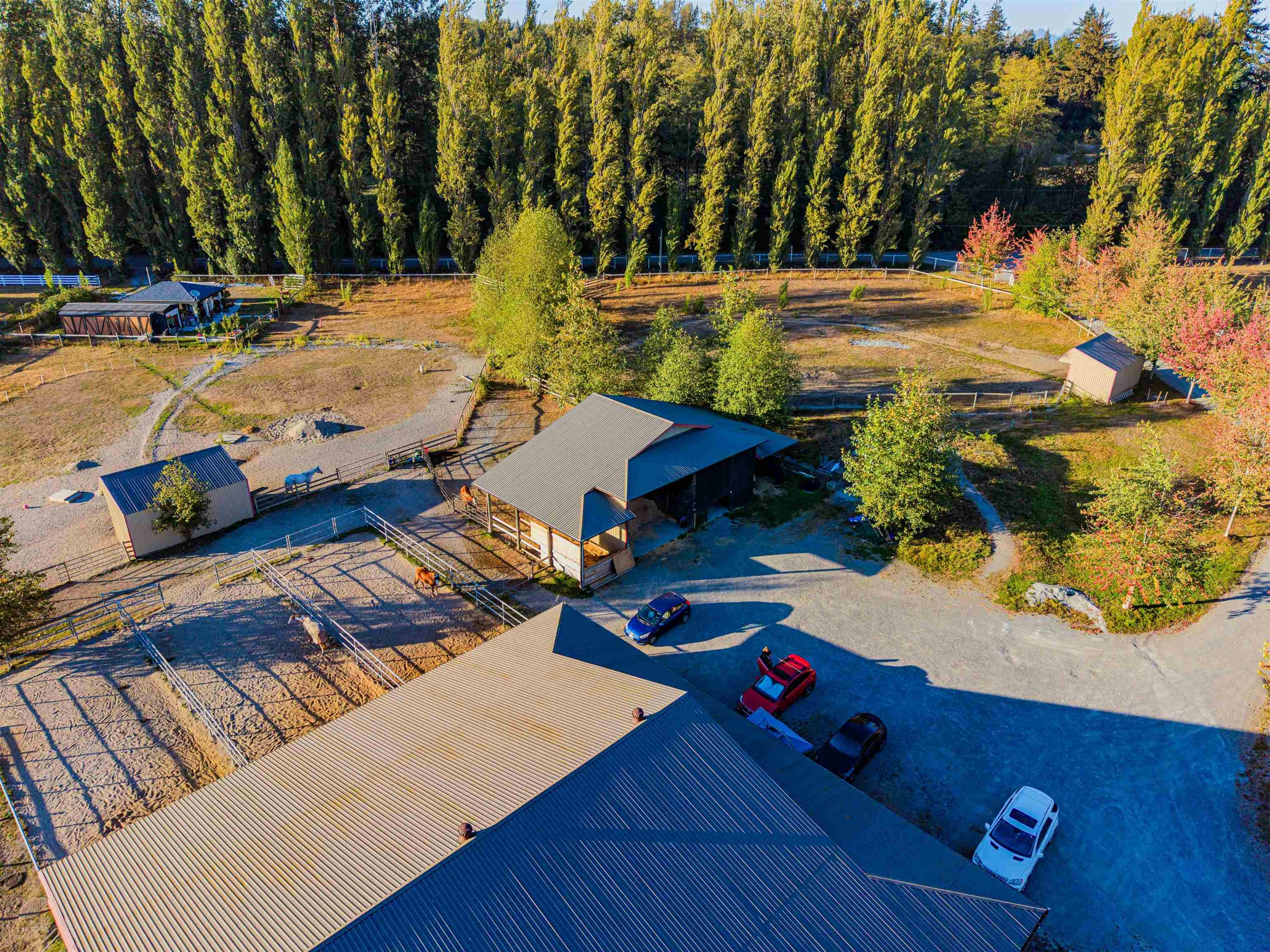 18738 20 Avenue, Surrey, BC, V3Z 9V2 - 8