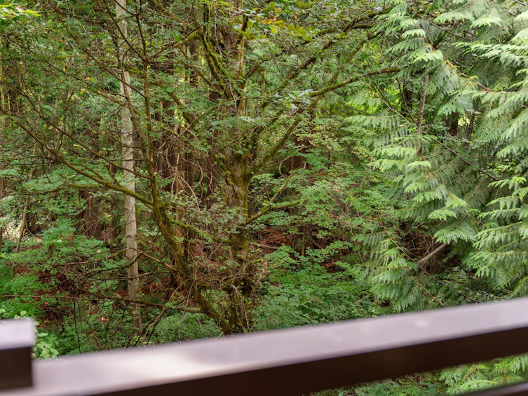 205-3294 Mt Seymour Parkway, North Vancouver, BC, V7H 0B1 - 6