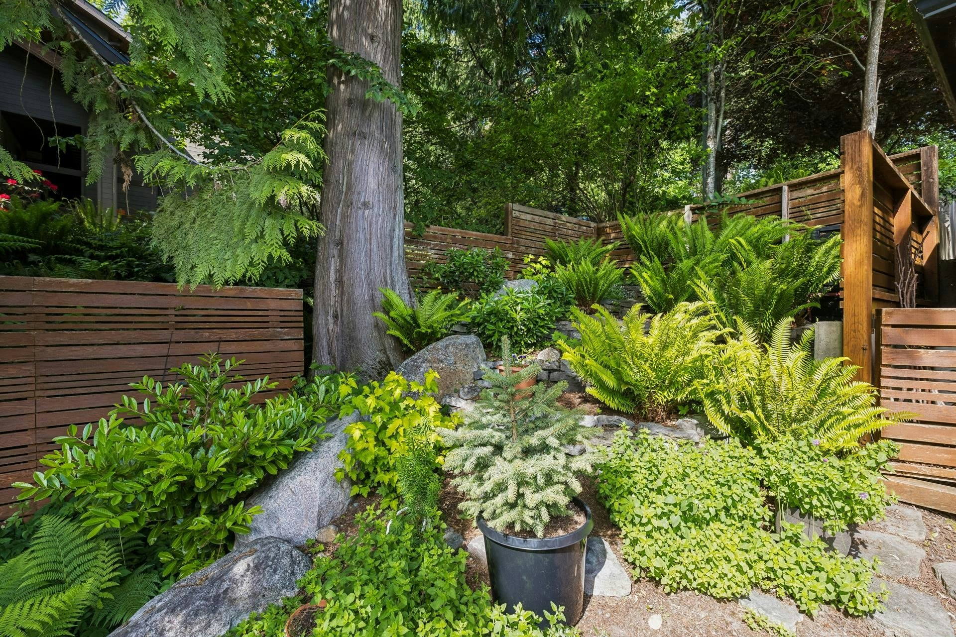 4041 Prospect Road, North Vancouver, BC, V7N 3L6 - 38