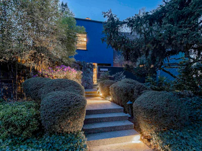 1775 Blanca Street - 2
