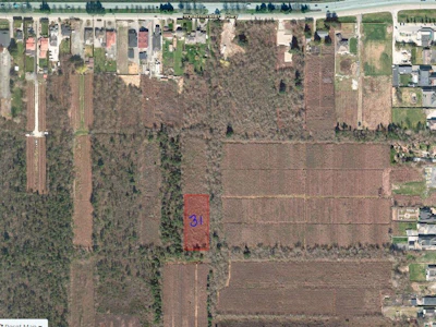 LOT 31 Westminster Highway - 5
