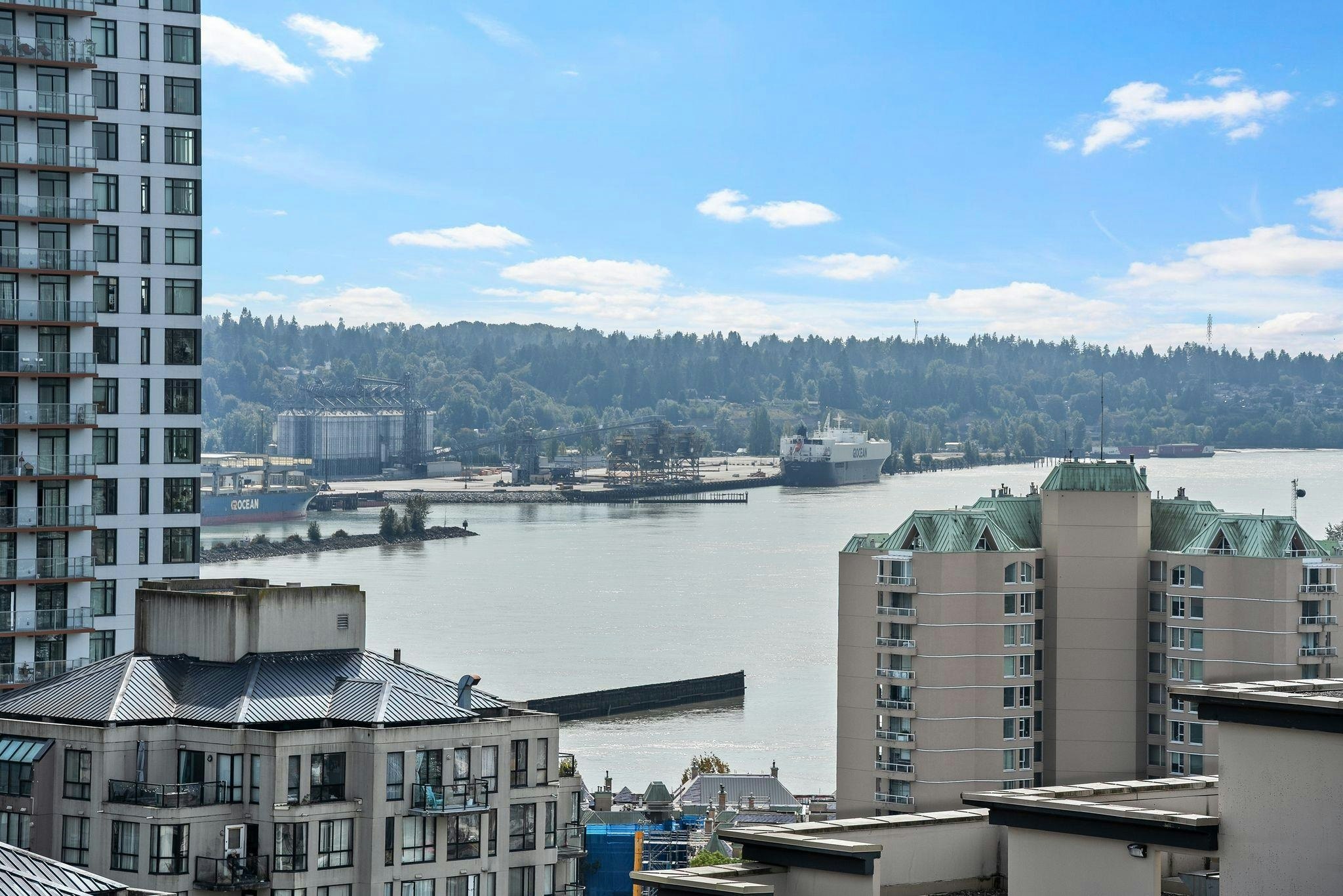 1203-814 Royal Avenue, New Westminster, BC, V3M 1J9 - 21