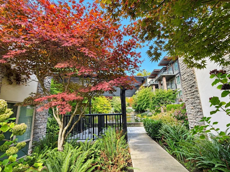 204-7428 Byrnepark, Burnaby, BC, V3N 0B4 - 20