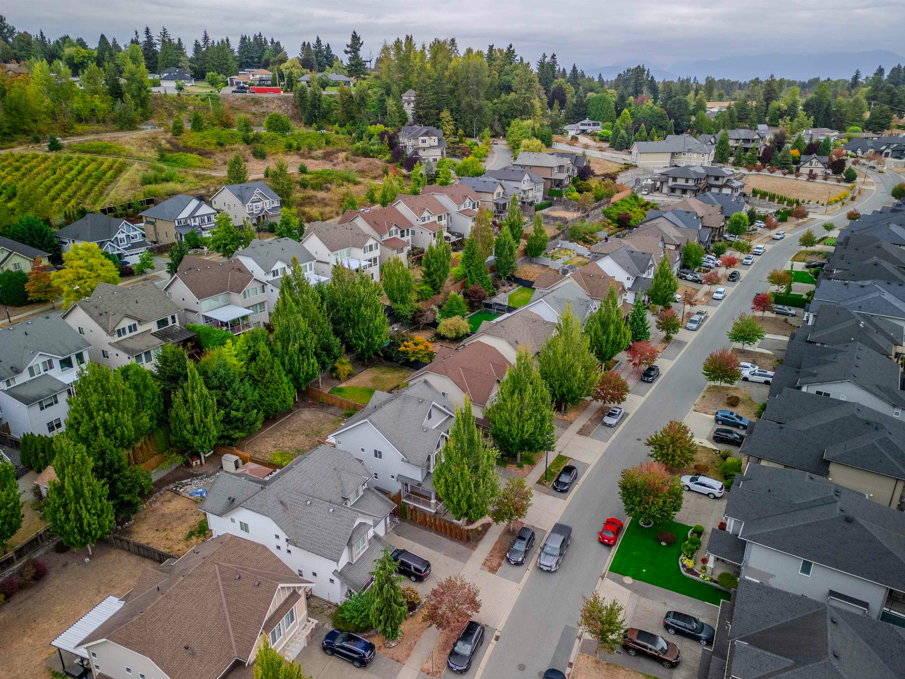 2293 Merlot Boulevard, Abbotsford, BC, V4X 0A6 - 36
