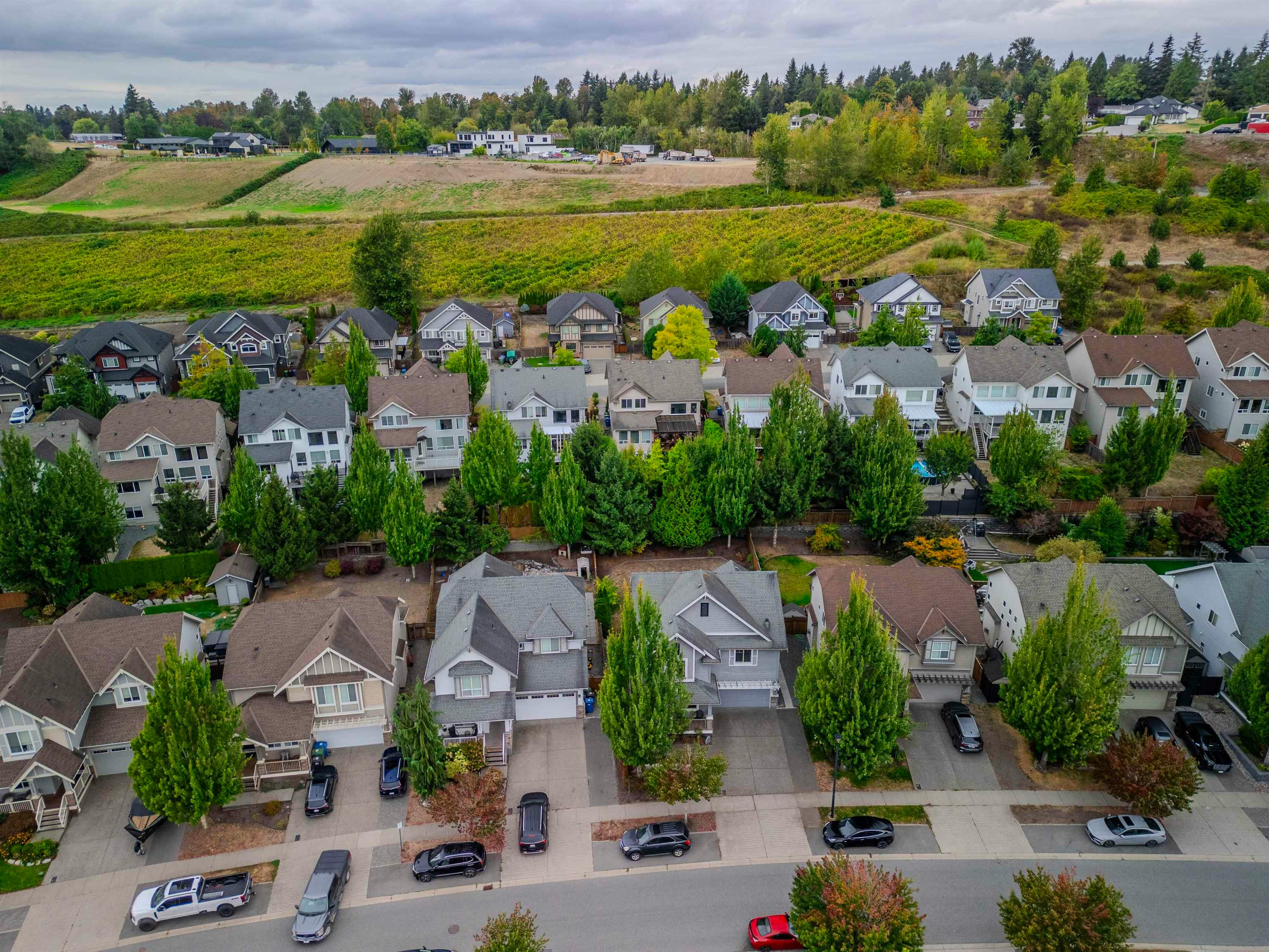 2293 Merlot Boulevard, Abbotsford, BC, V4X 0A6 - 37