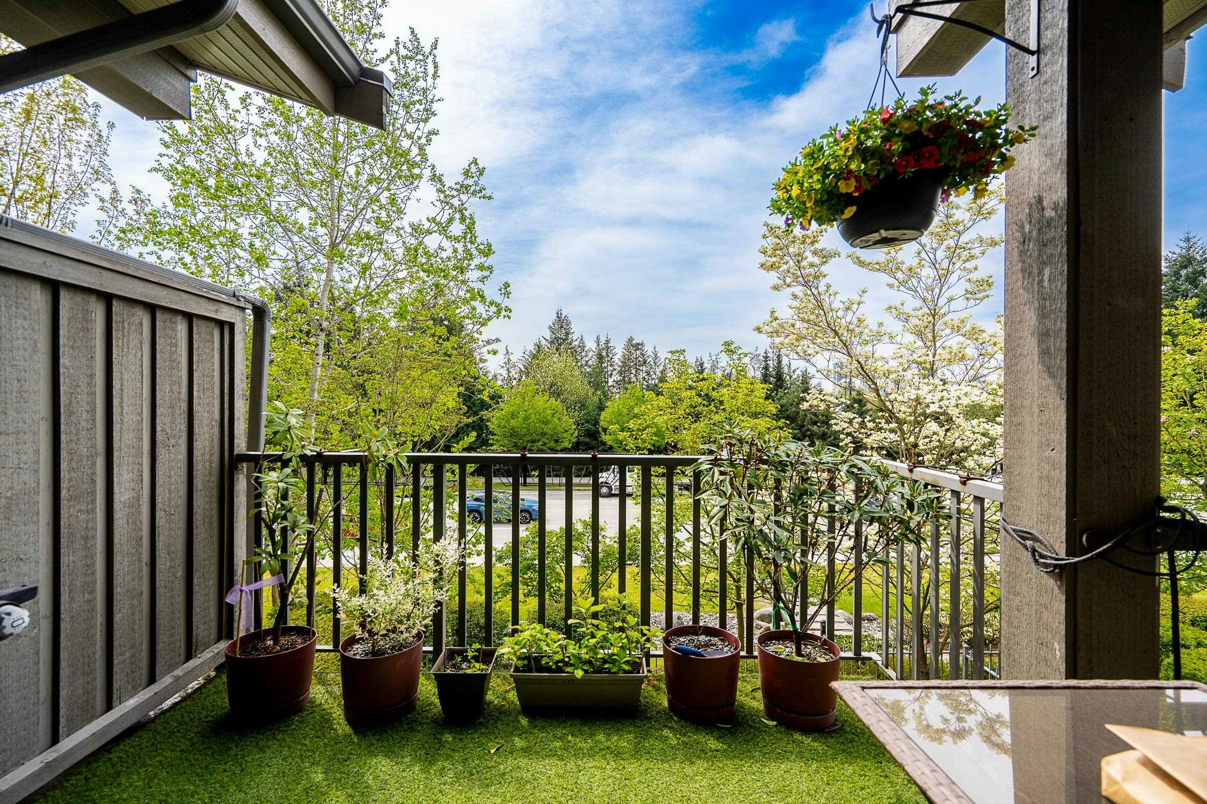 6-3138 Dayanee Springs Boulevard, Coquitlam, BC, V3E 0B6 - 14