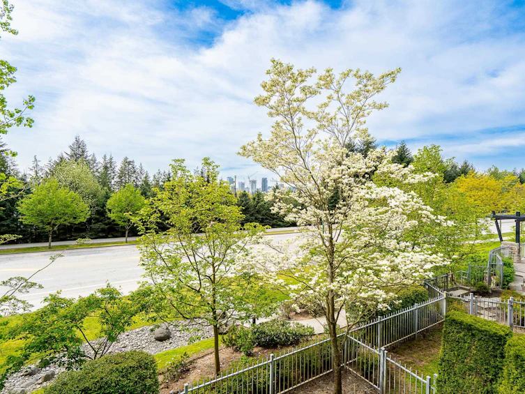 6-3138 Dayanee Springs Boulevard, Coquitlam, BC, V3E 0B6 - 16