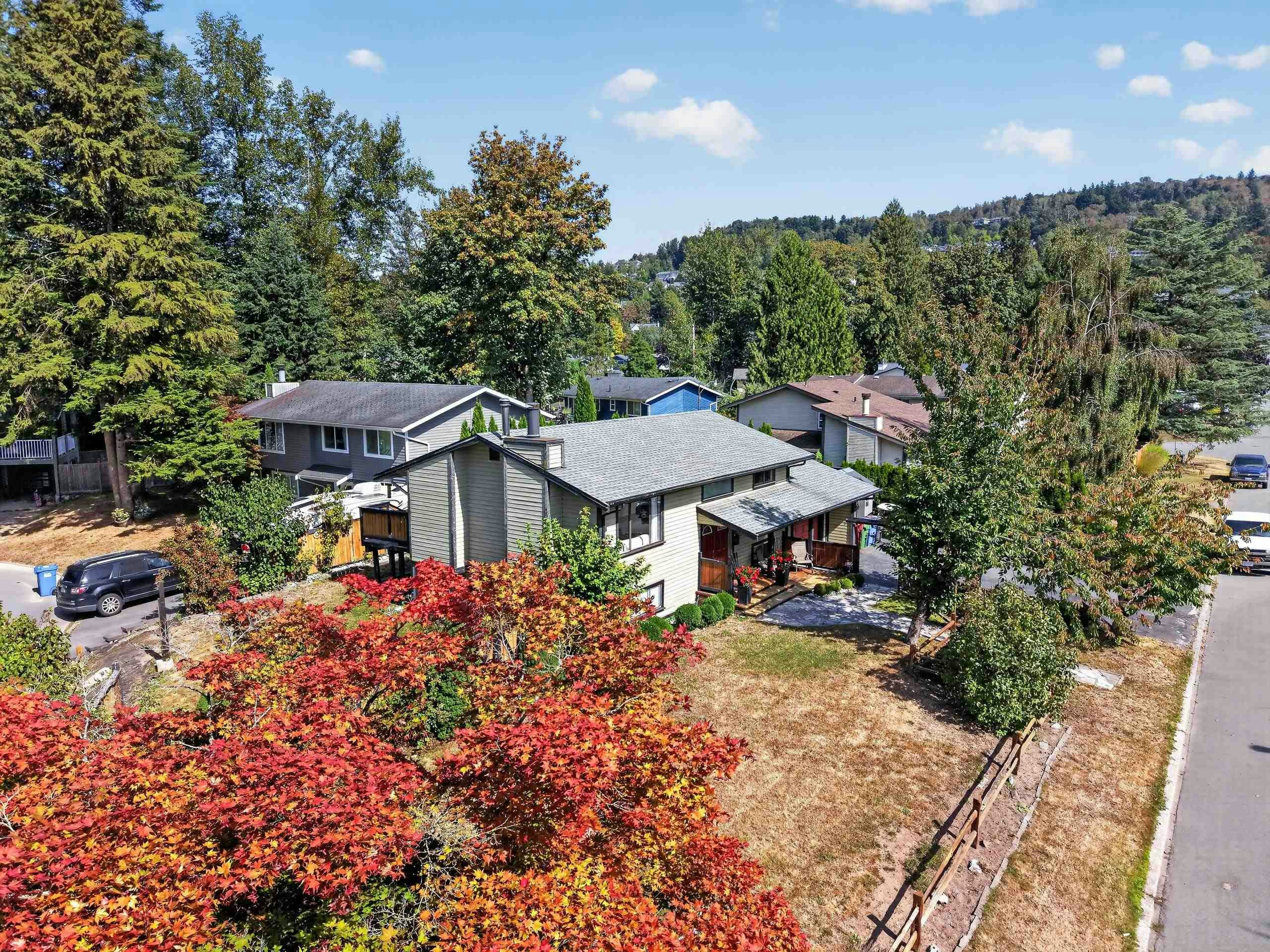 35275 Wells Gray Avenue - 3