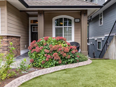 45426 Ariel Place - 2