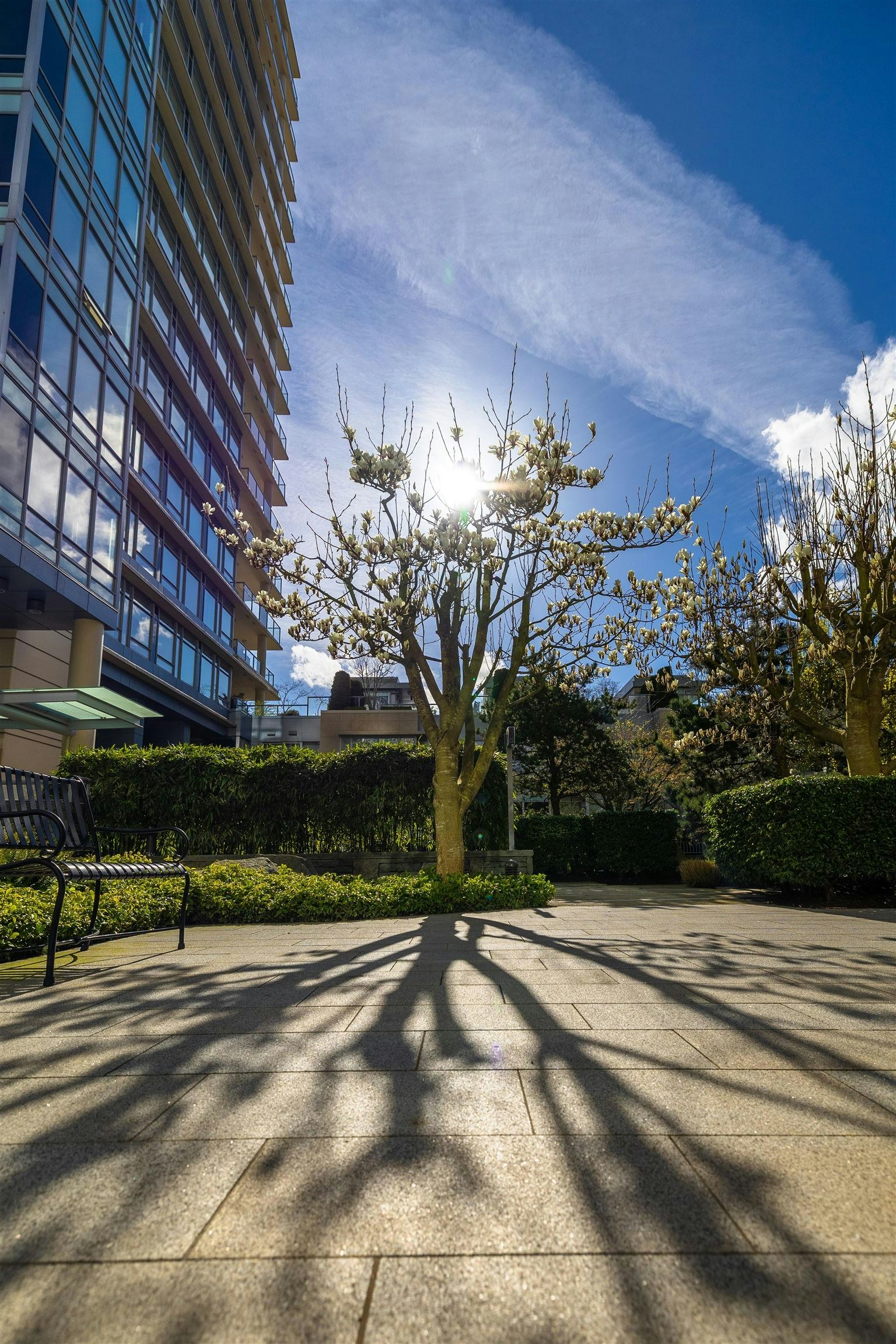 410 Beach Crescent, Vancouver, BC, V6Z 3E9 - 39