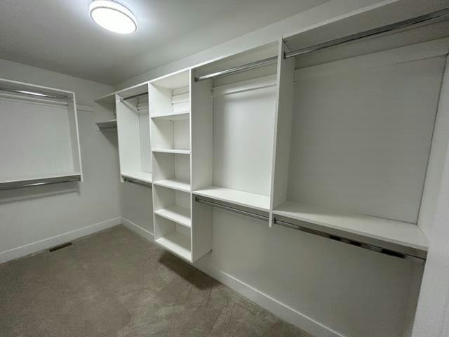 11061 241a Street, Maple Ridge, BC, V2W 0K5 - 20