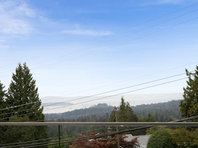 4716 Skyline Drive - 5