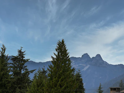 4716 Skyline Drive - 3