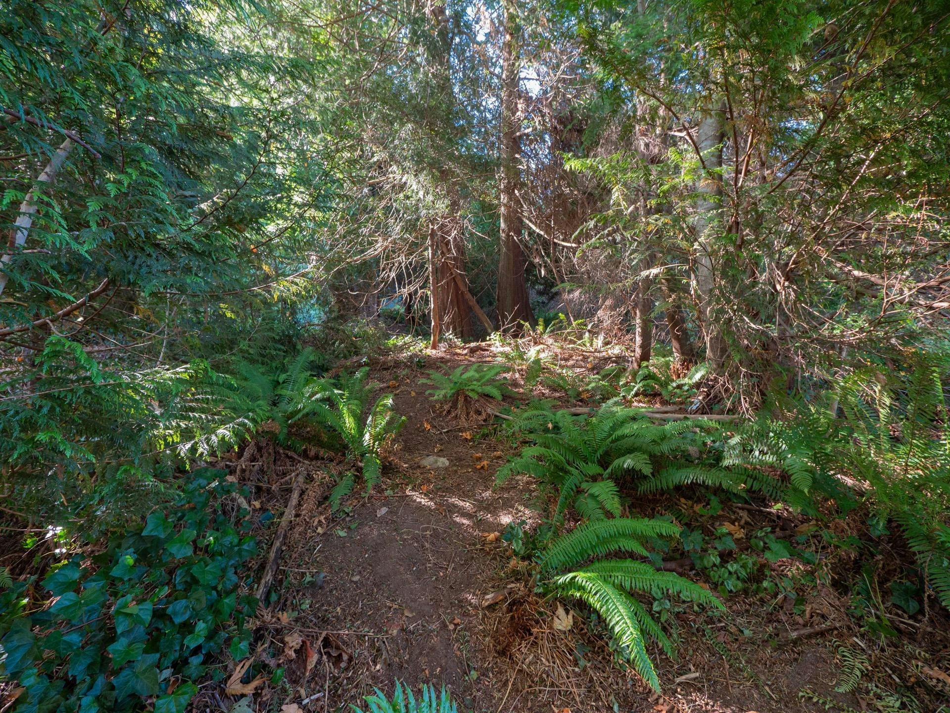 LOT 6 Marine Drive, Gibsons, BC, V0N 1V1 - 13