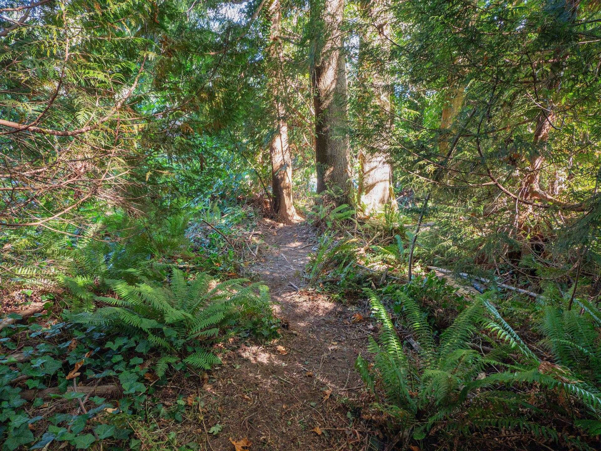 LOT 6 Marine Drive, Gibsons, BC, V0N 1V1 - 11