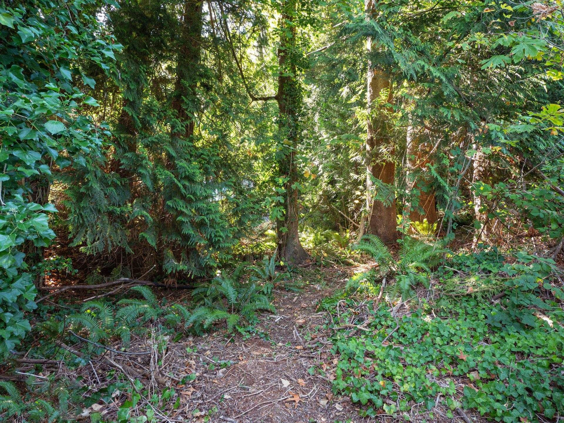 LOT 6 Marine Drive, Gibsons, BC, V0N 1V1 - 12