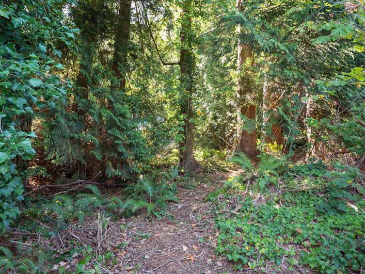 LOT 6 Marine Drive, Gibsons, BC, V0N 1V1 - 12