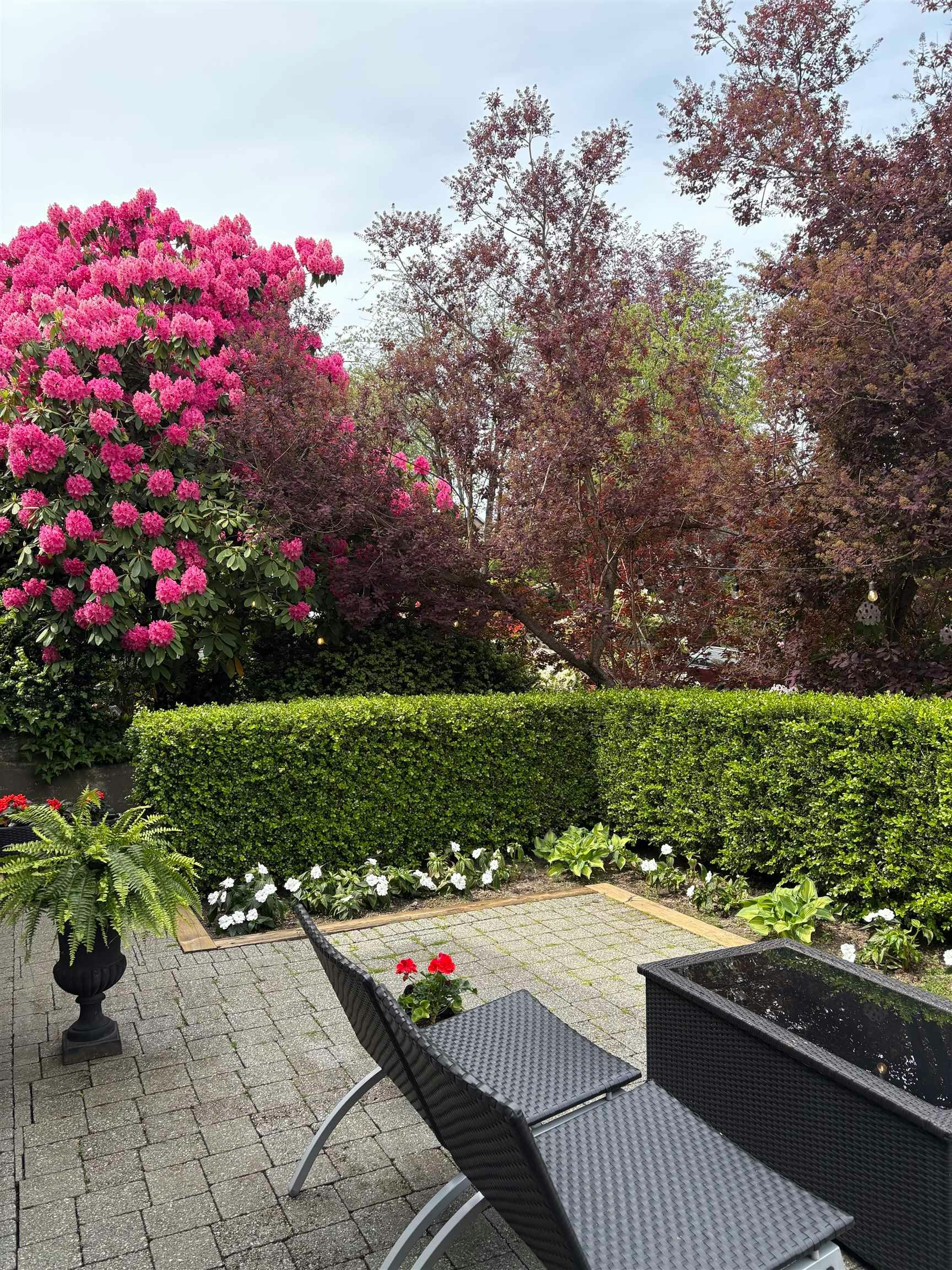 3814 W 11 Avenue, Vancouver, BC, V6R 2K9 - 20