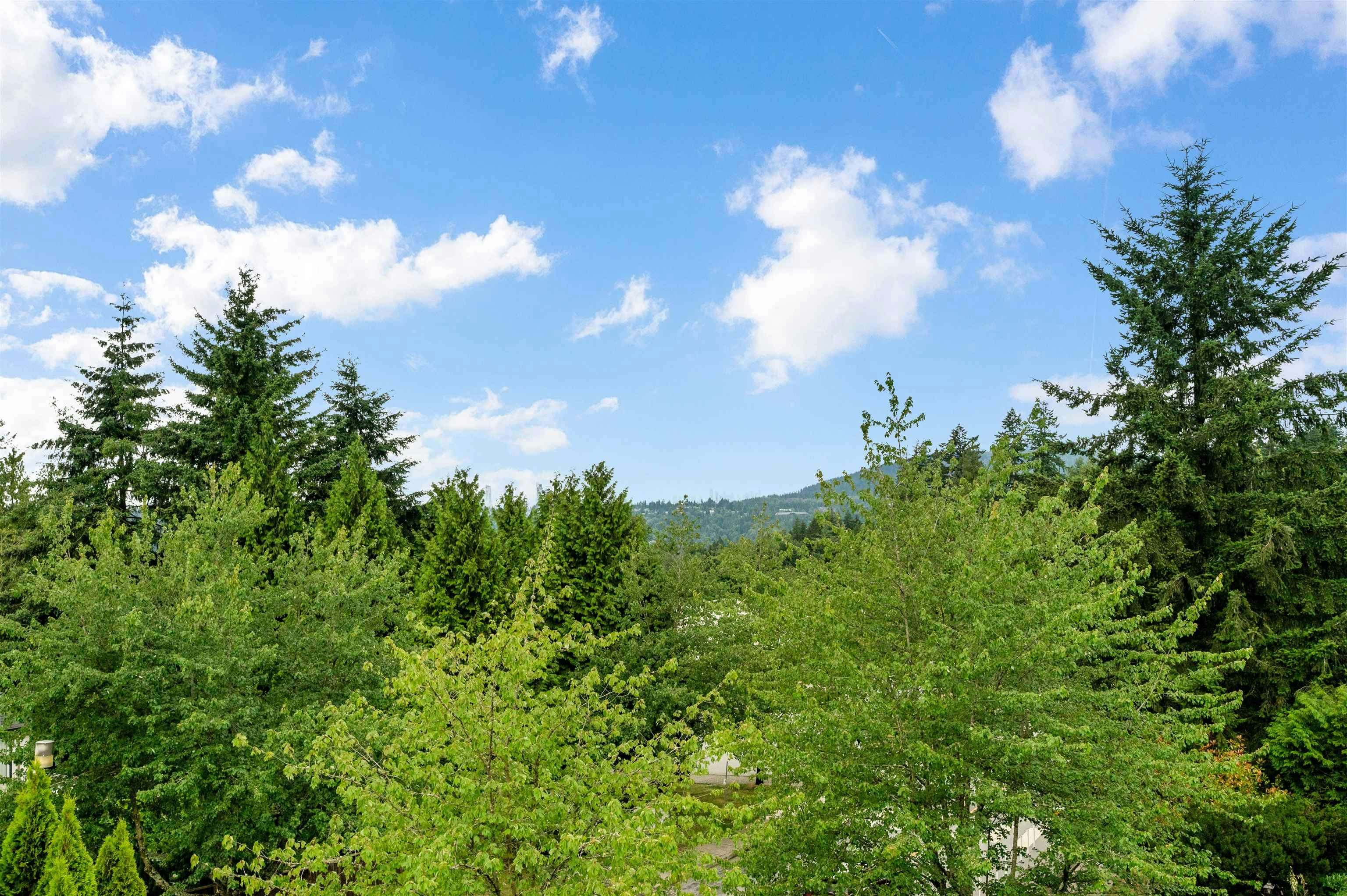 116 Ravine Drive, Port Moody, BC, V3H 4T2 - 39