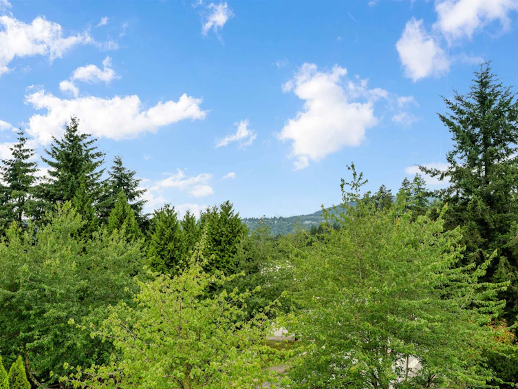 116 Ravine Drive, Port Moody, BC, V3H 4T2 - 39