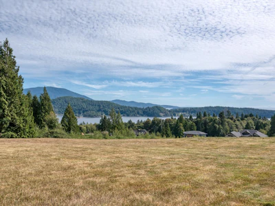 604 Woodland Avenue - 4