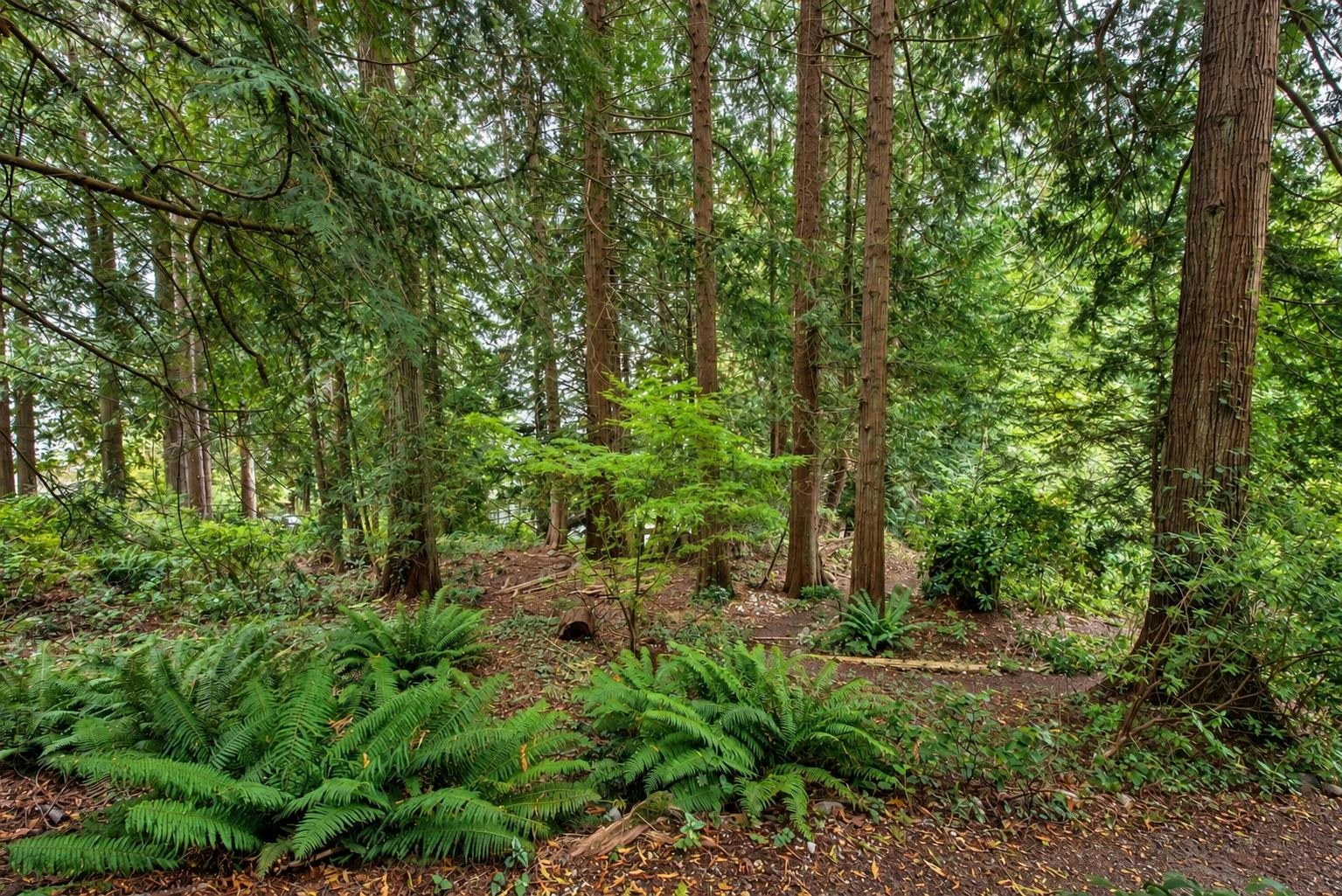 1305 Gower Point Road, Gibsons, BC, V0N 1V3 - 36