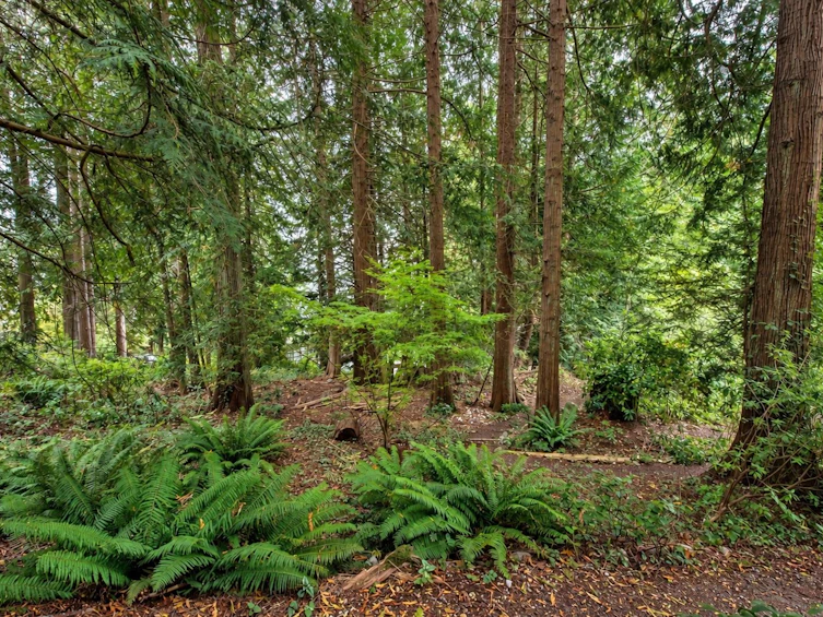 1305 Gower Point Road, Gibsons, BC, V0N 1V3 - 36