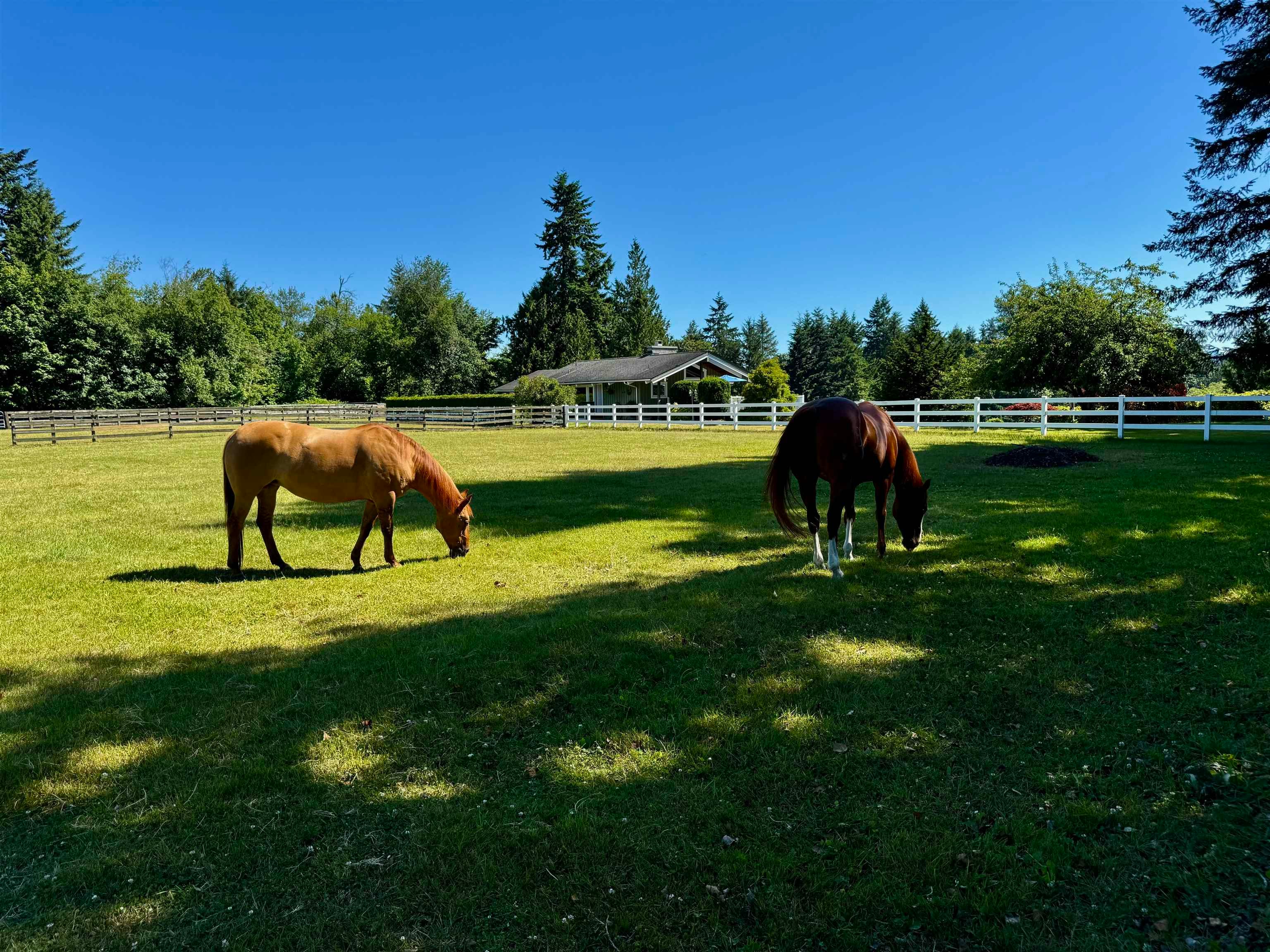 25177 64 Avenue, Langley, BC, V4W 1H5