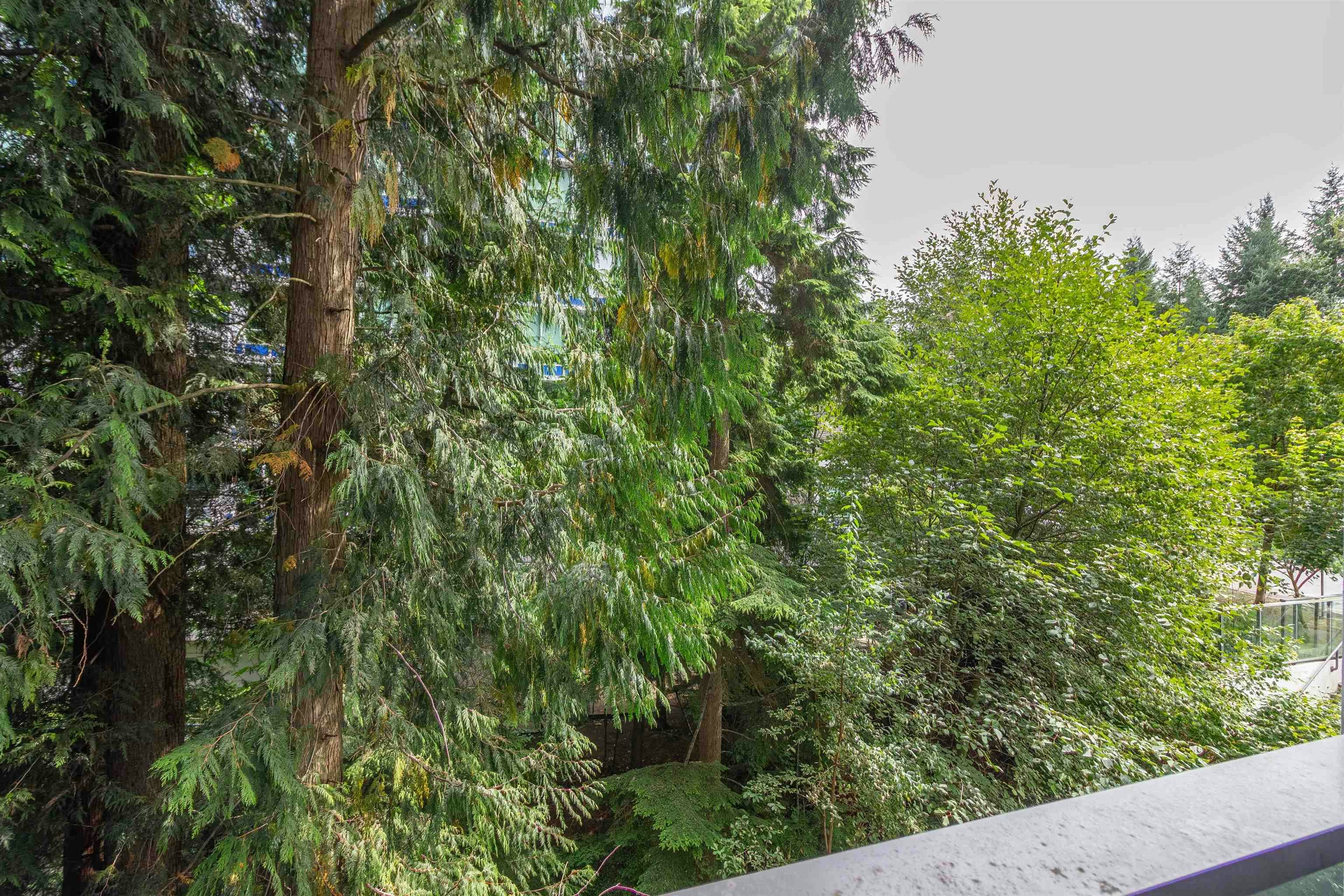 201-8940 University Crescent, Burnaby, BC, V5A 0E7 - 16