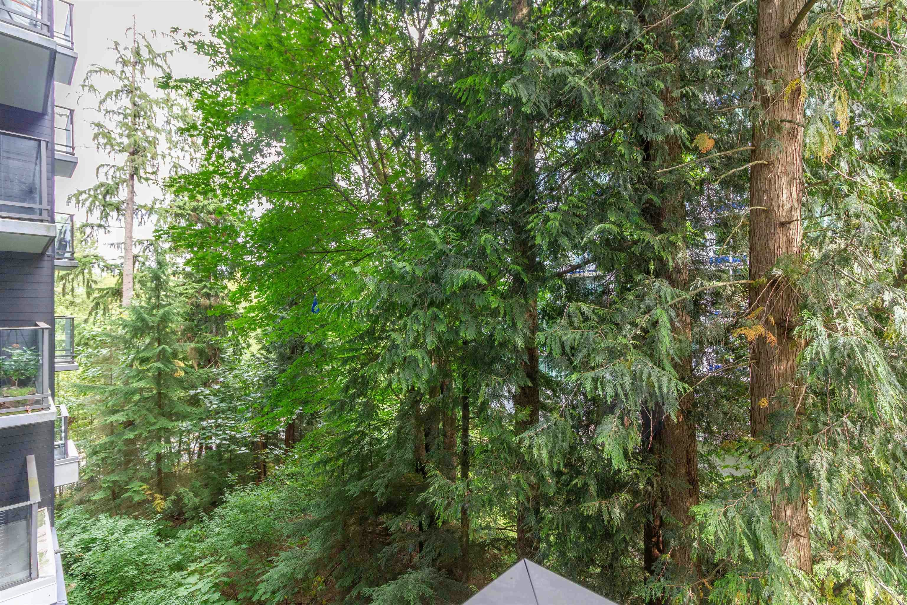 201-8940 University Crescent, Burnaby, BC, V5A 0E7 - 15